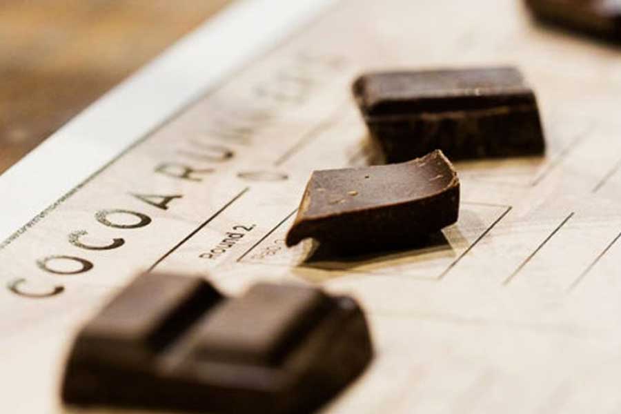 Canopy Chocolate Festival